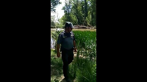 Un cocodrilo de metro y medio alarma a Valladolid