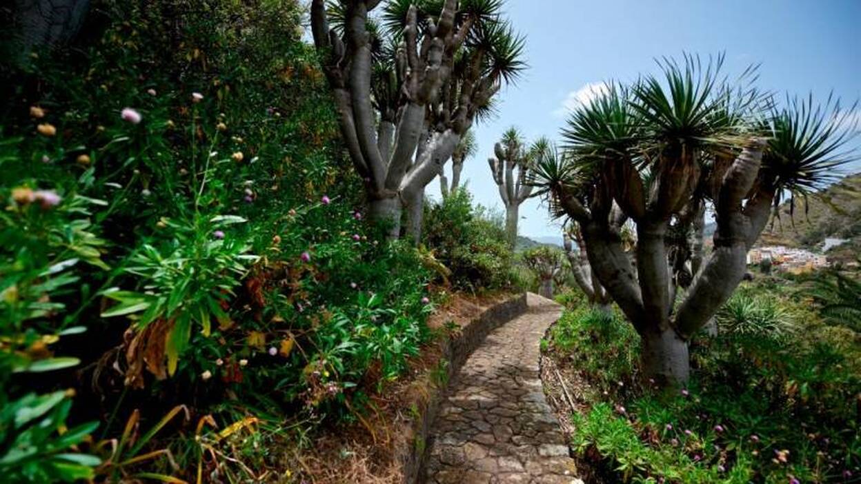 Reapertura al público con horario reducido y aforo limitado
