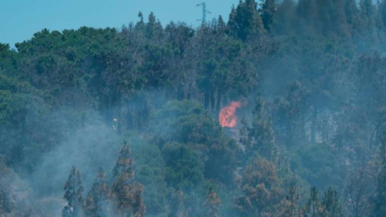 Canarias acumula el 6,53% de la superficie forestal quemada en España