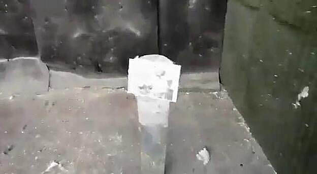 Libre tras disparar a fotos del Gobierno