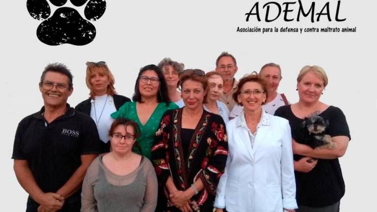 Colectivo contra el maltrato aninal