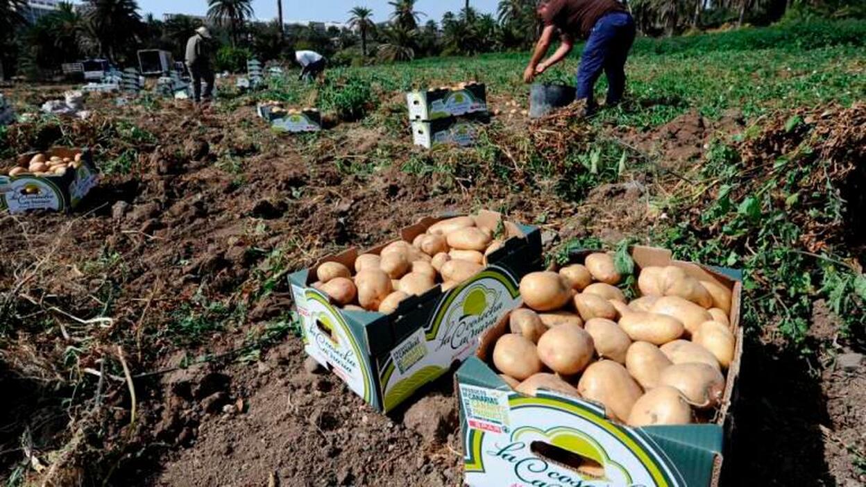 Asaga dice que se pueden perder 18.837 hectáreas de suelo agrario