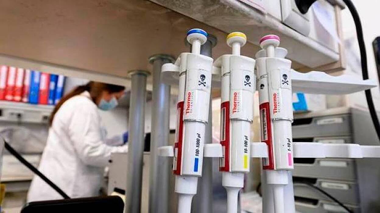 La inmunidad podría ser el doble