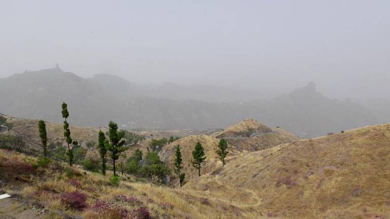 Las Tirajanas rozan los 41 grados de máxima