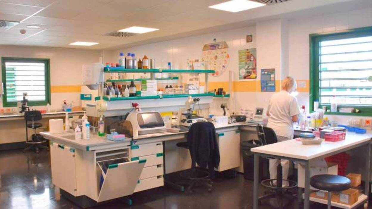 5 positivos por covid-19 entre los 25 inmigrantes