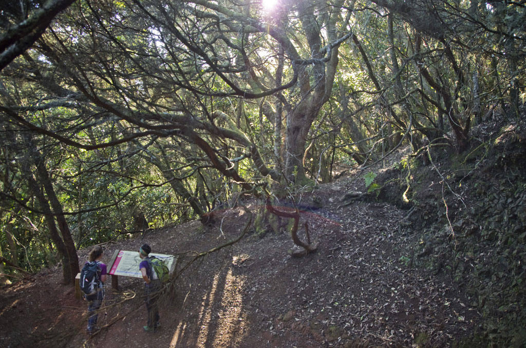 Imagen de archivo del sendero de los sentidos donde ocurrió el accidente