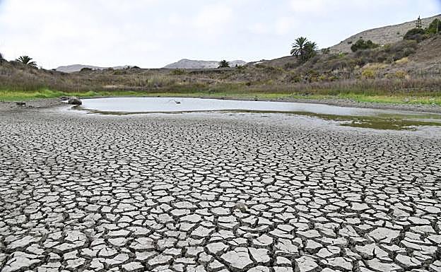 El Cabildo conmina al Ayuntamiento a comprar las charcas de San Lorenzo