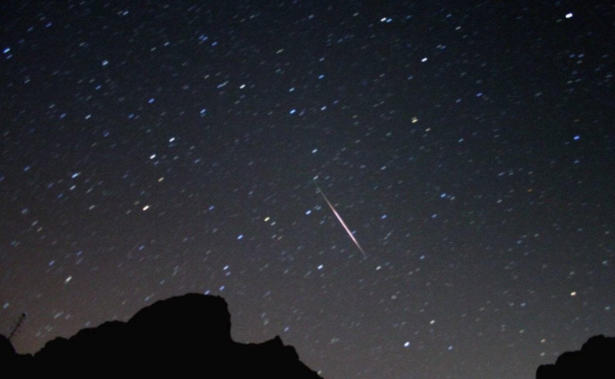 Pasear bajo las estrellas o cuidar burritos, planes del verano con mascarilla