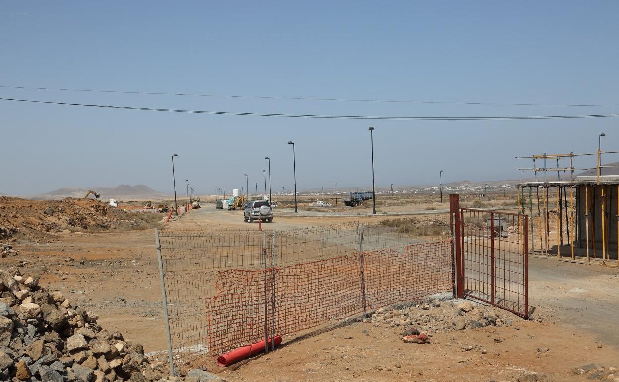 Un rayo de esperanza para las últimas arañas ciegas