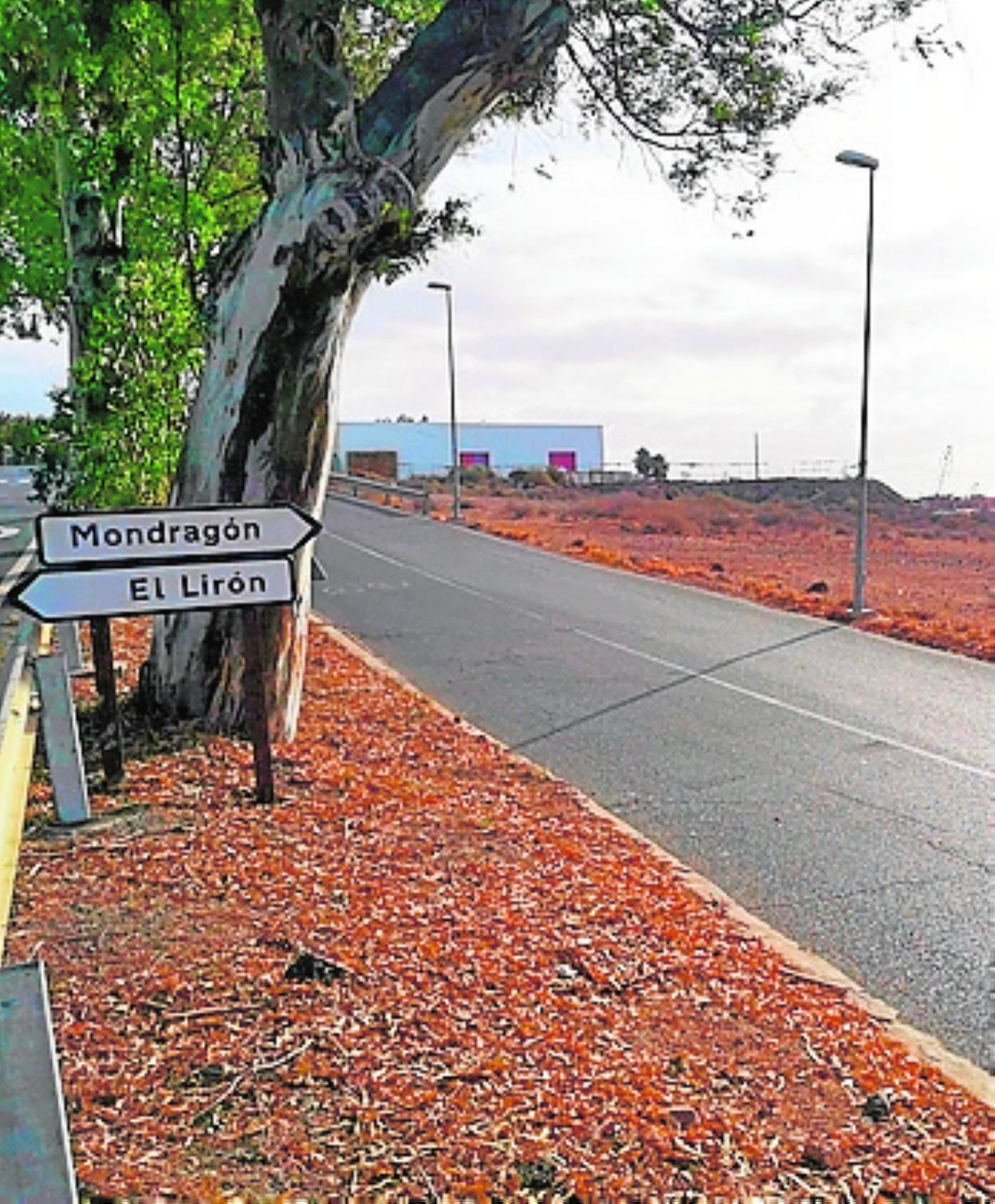 Vista de la parcela donada. 