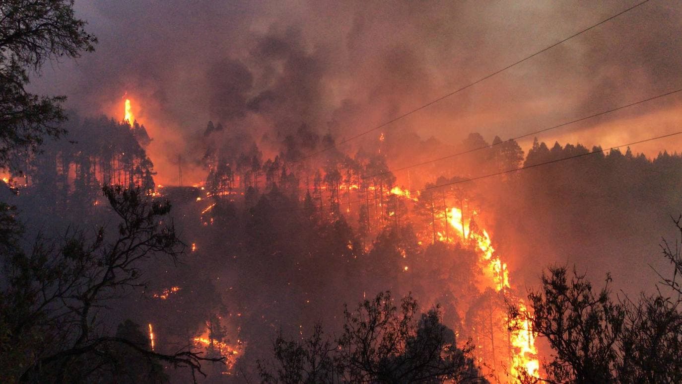lecho no usado Barra oblicua El incendio de La Palma, en imágenes | Canarias7