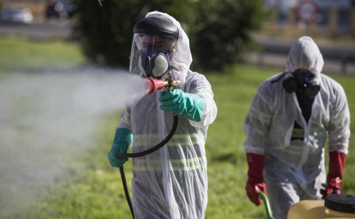 Dos trabajadores durante las labores de fumigación contra los mosquitos causantes del virus 