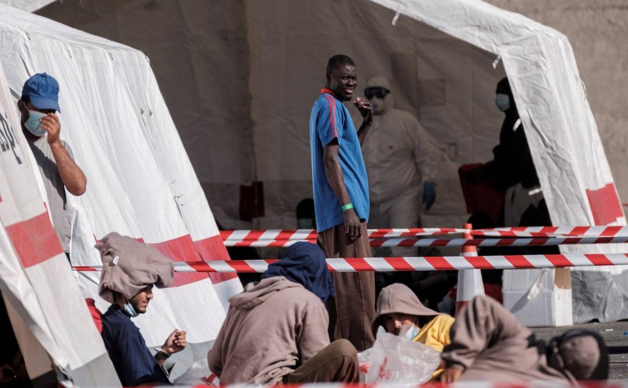 Inmigrantes en el muelle de Arguineguín atendidos en una de las cuatro carpas instaladas por Cruz Roja