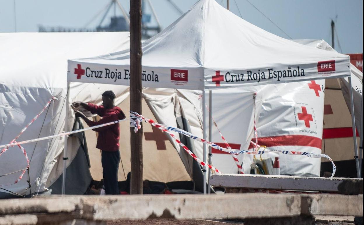 Imagen de las carpas instaladas en Arrecife para los inmigrantes. 