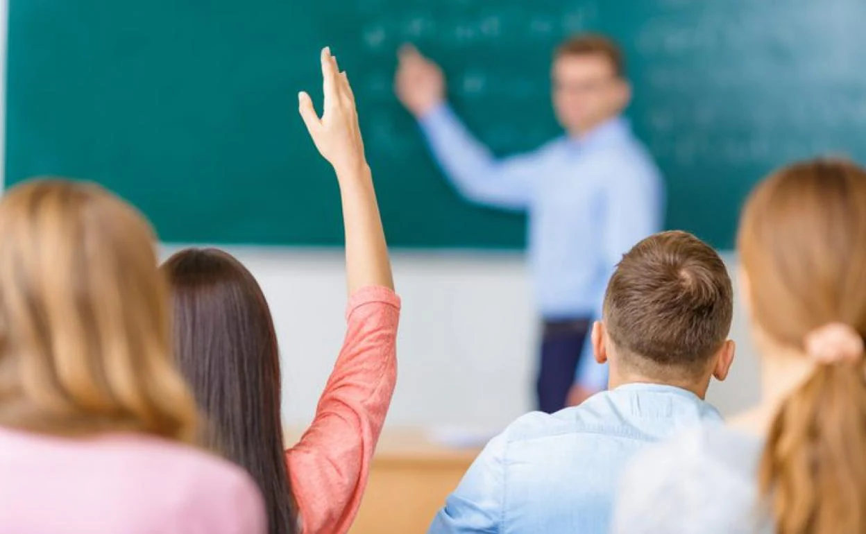 Los profesores españoles apenas han recibido en su formación académica enseñanzas en tecnología de la información. 