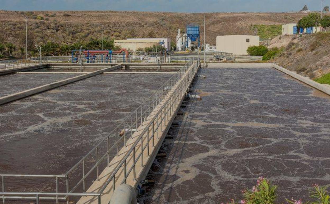 Canaragua, primera y única empresa acreditada en la detección del SARS-CoV-2 en aguas residuales