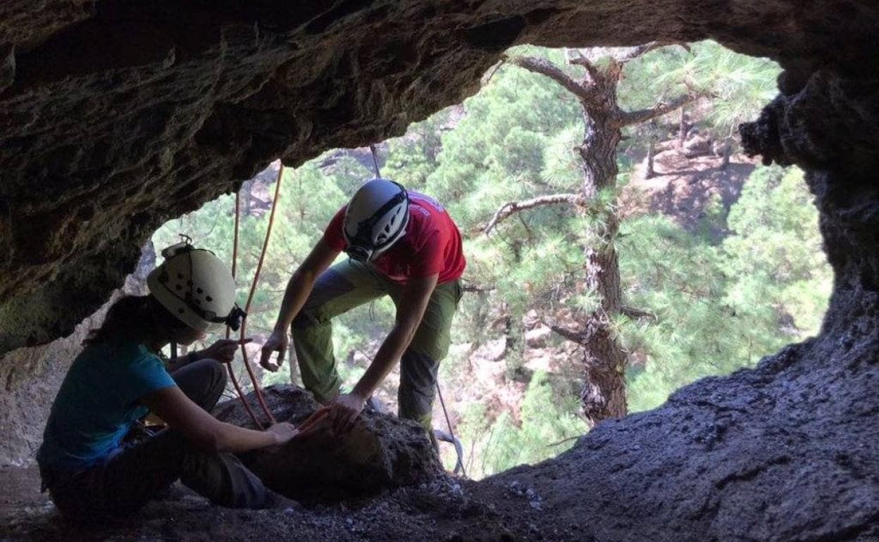 Encuentran restos arqueológicos intactos en las cuevas colgadas de La Palma
