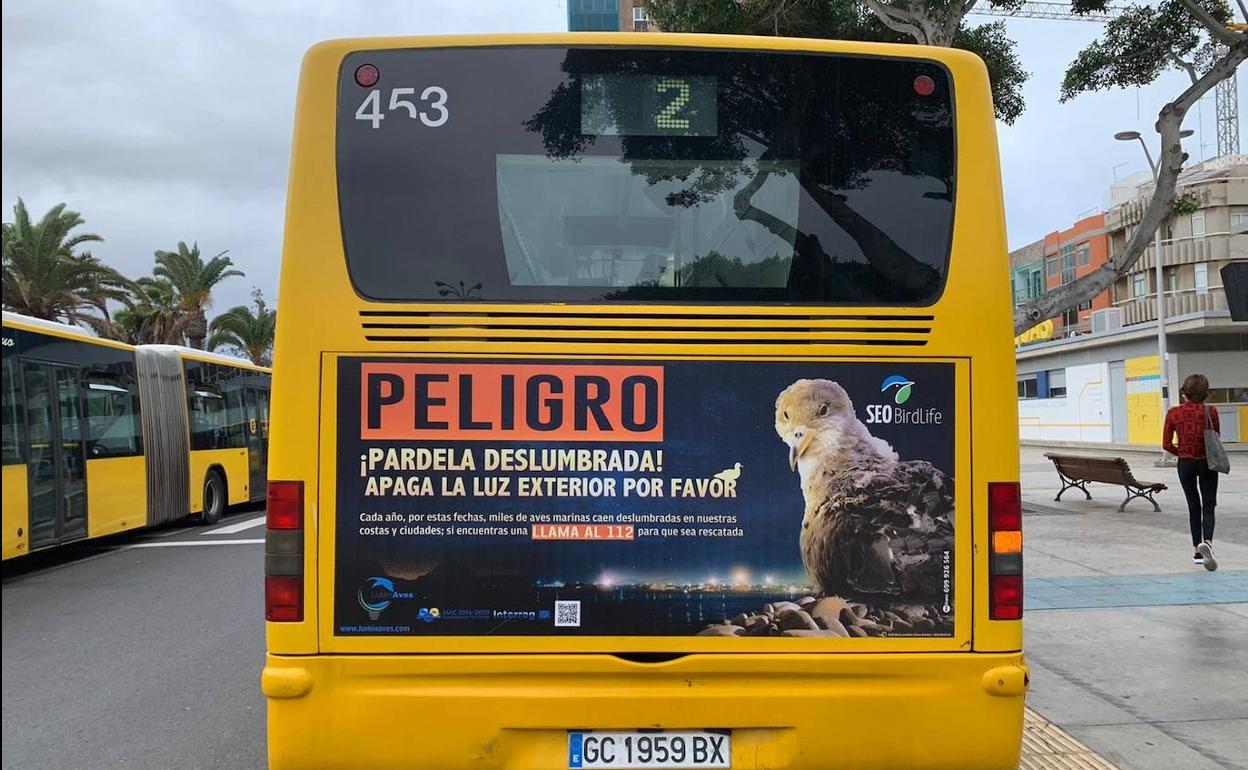 Imagen de una guagua de la capital grancanaria donde se aprecia la campaña de concienciación. 