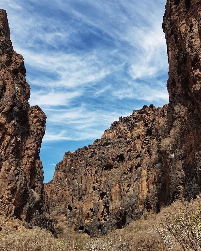 Imágenes del paisaje de la caminata. 