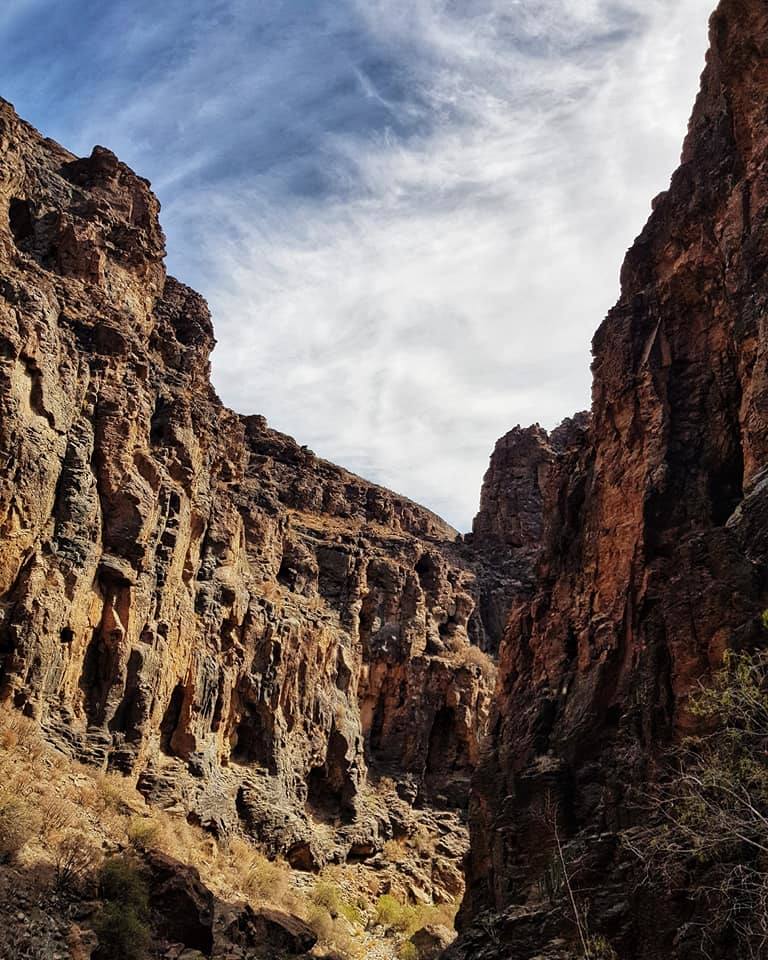 Imágenes del paisaje de la caminata. 