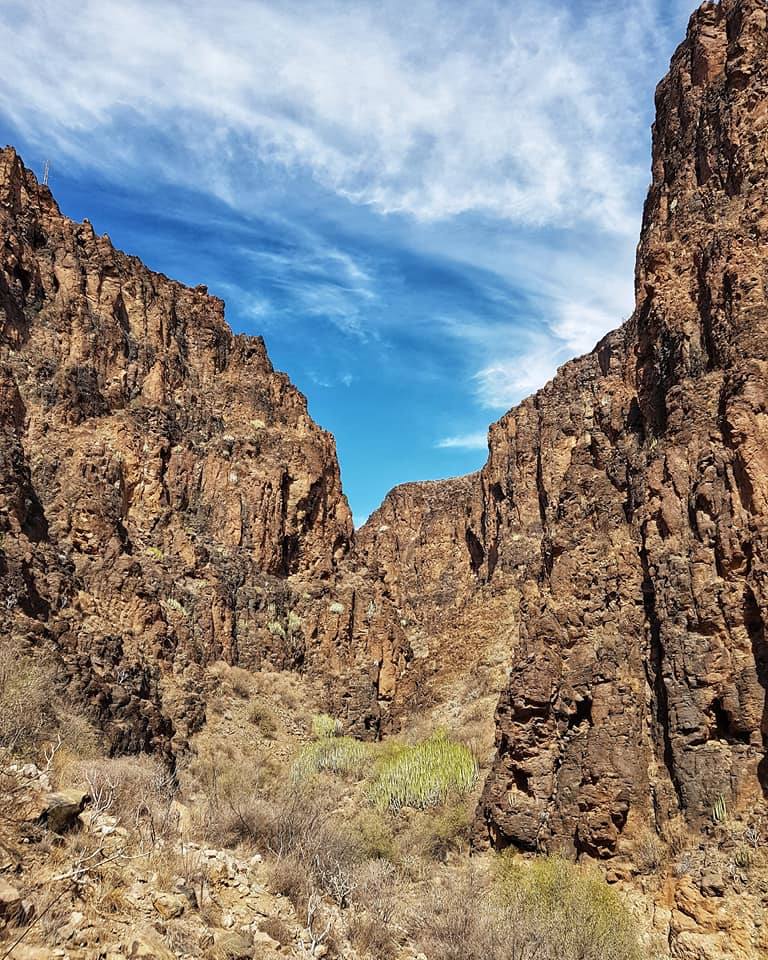 Imágenes del paisaje de la caminata. 