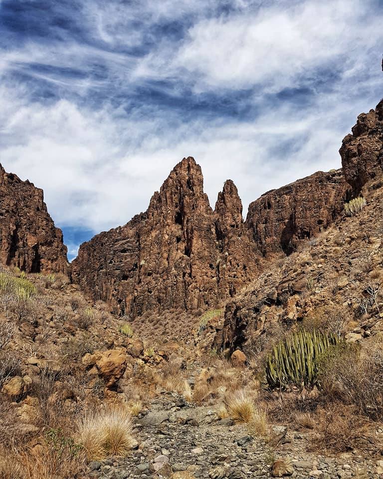 Imágenes del paisaje de la caminata. 