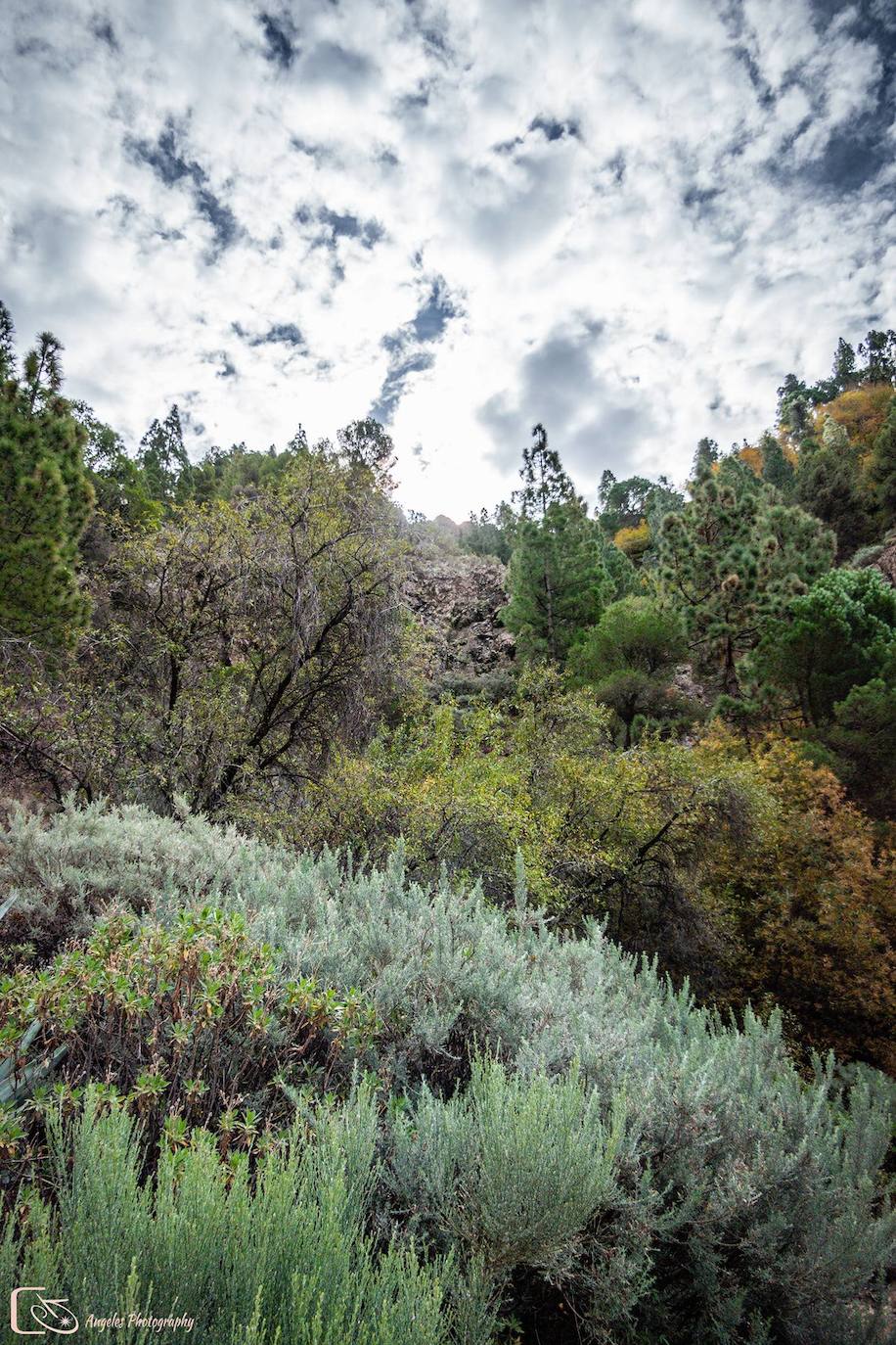 Fotos: Un rincón donde disfrutar de la naturaleza