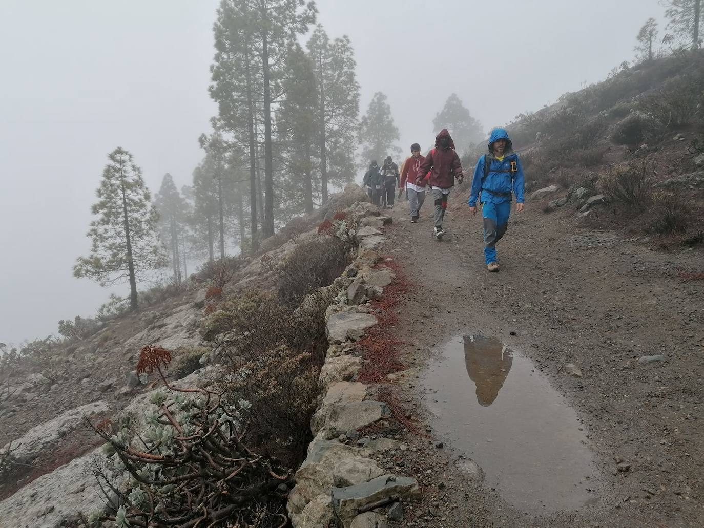 Fotos: Camino de Los Valores llega a su fin entre niebla y lluvia