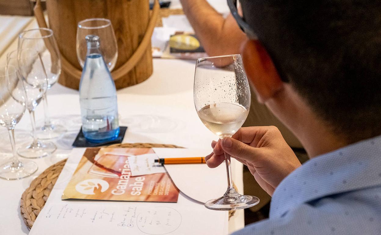 El Gobierno promueve los vinos volcánicos en los restaurantes de Canarias