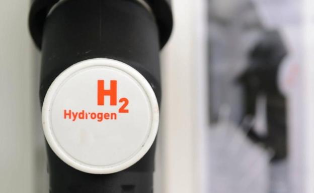 Descubren cómo producir hidrógeno de manera natural empleando células de algas