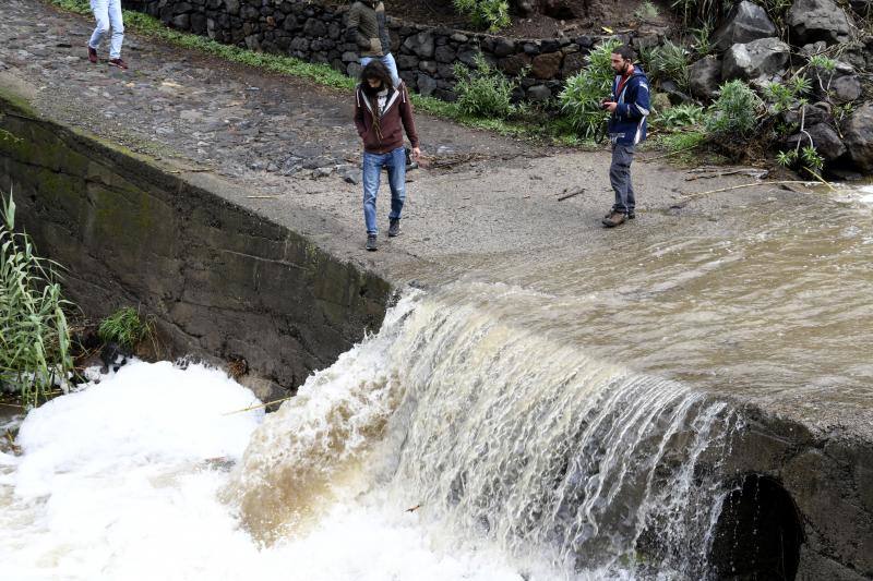 Fotos: Filomena deja mucha agua, viento y frío