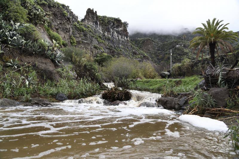 Fotos: Filomena deja mucha agua, viento y frío