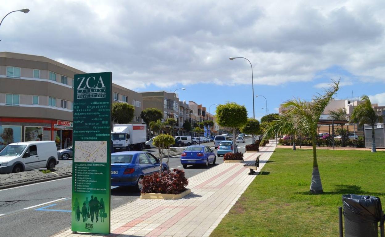 Imagen de archivo de Carrizal