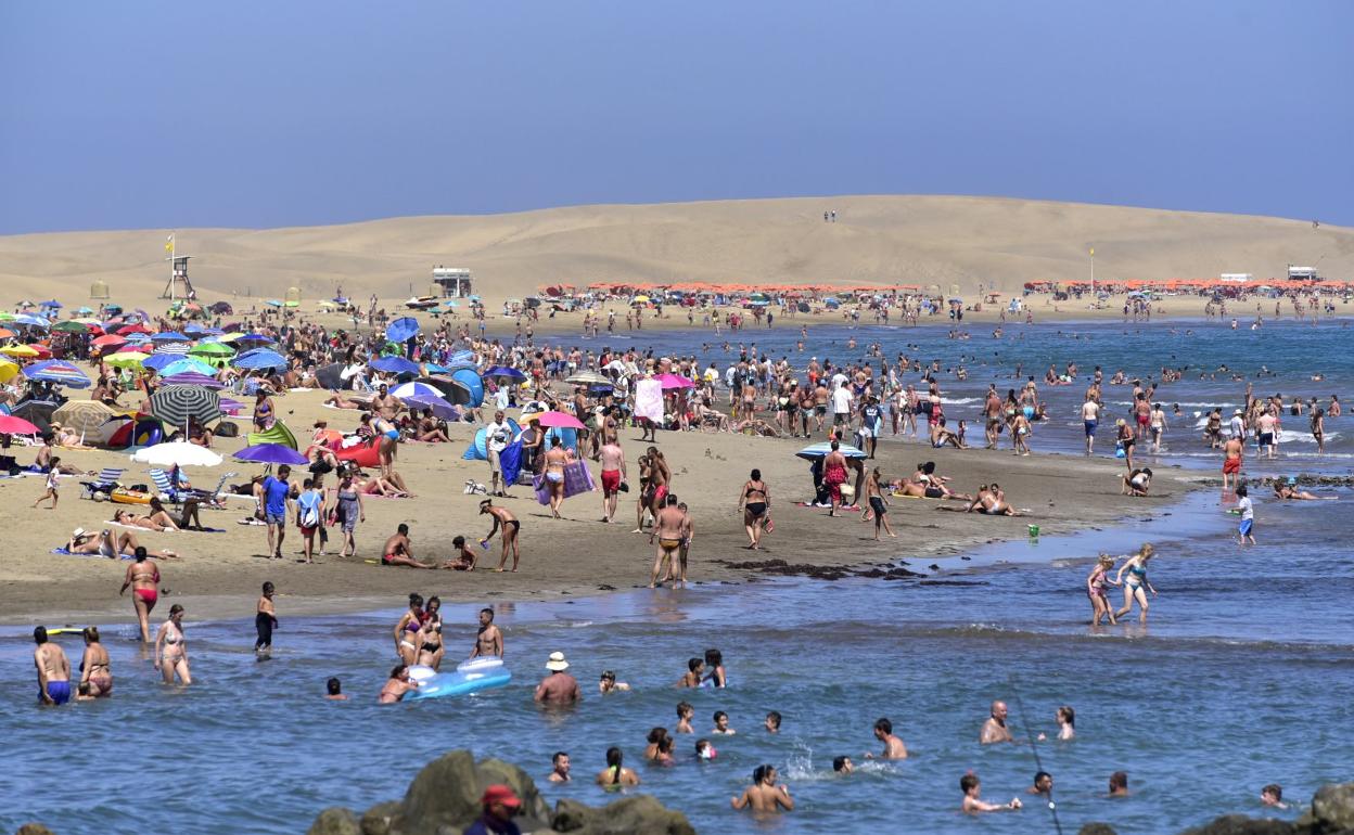 La Consejería de Turismo del Gobierno de Canaria en un ambicioso proyecto dirigido a crear una plataforma de comercialización. 