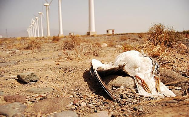 Impacto ambiental de las renovables . 