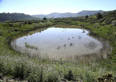 Imagen secundaria 1 - Vistas de las charcas. 