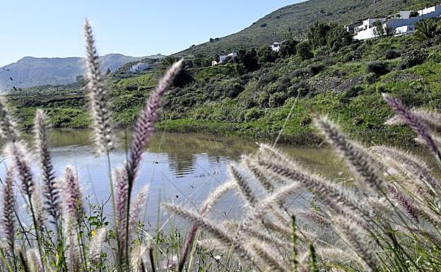 Imagen principal - Vistas de las charcas. 