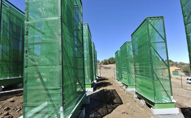 Captadores de agua de niebla instalados hace años en Valleseco por una iniciativa privada. 