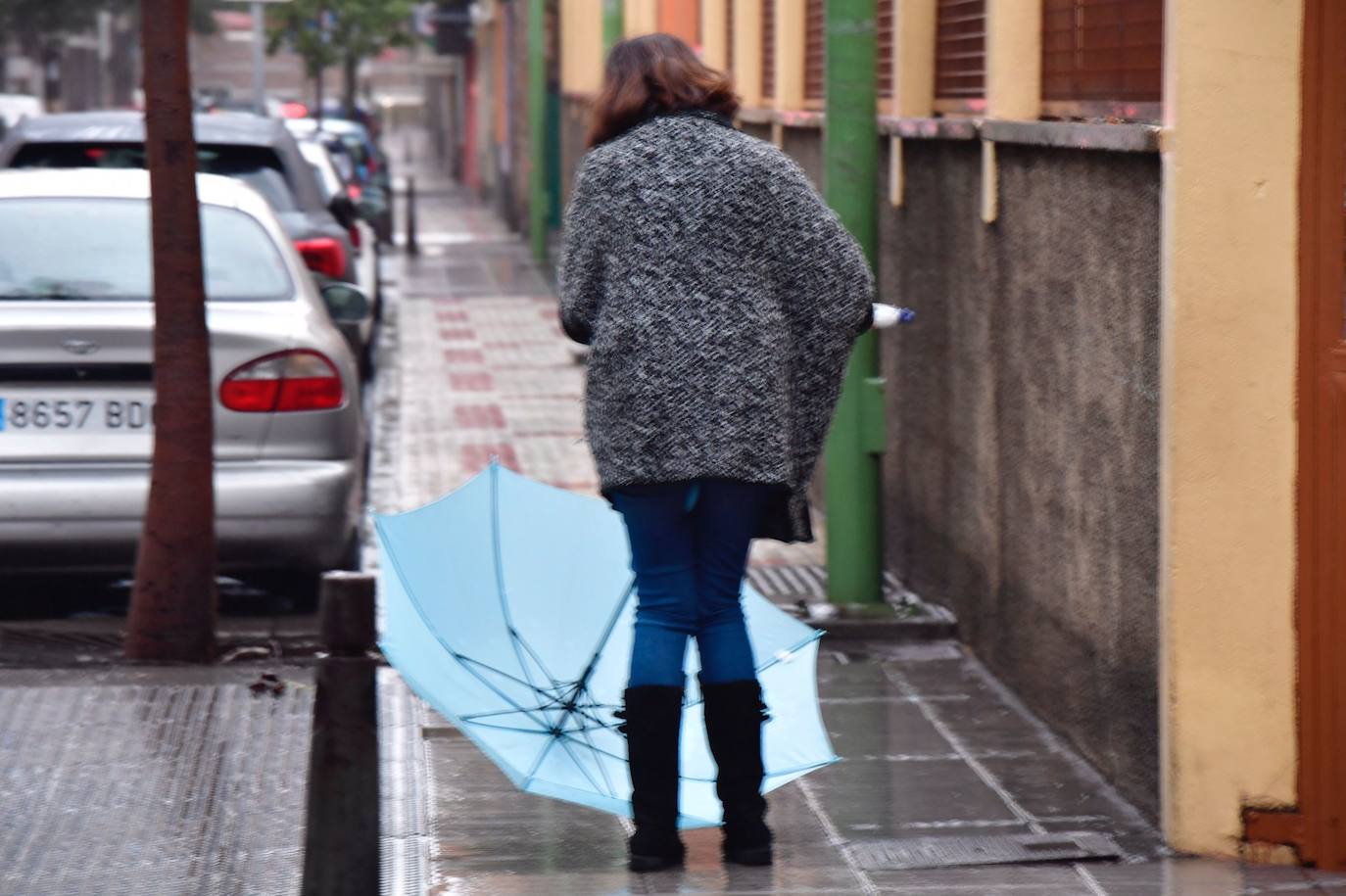 LLuvia en la capital grancnaria, este jueves. 