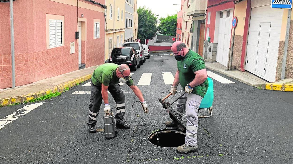 Operarios del servicio de Control de Plagas en una actuación en el barrio de Piletas.