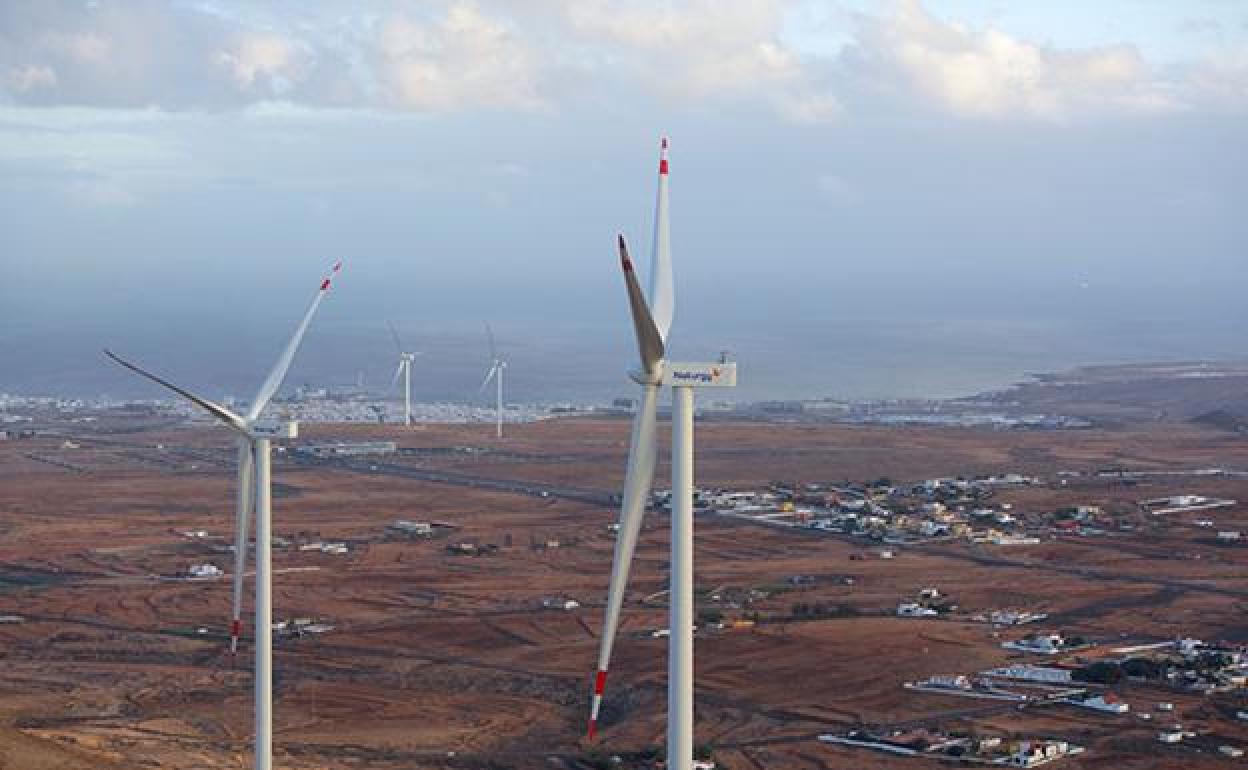Cuatro de los ocho aerogeneradores del parque eólico Puerto del Rosario . 