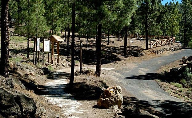 Área recreativa de El Contador, en el municipio de Arico.