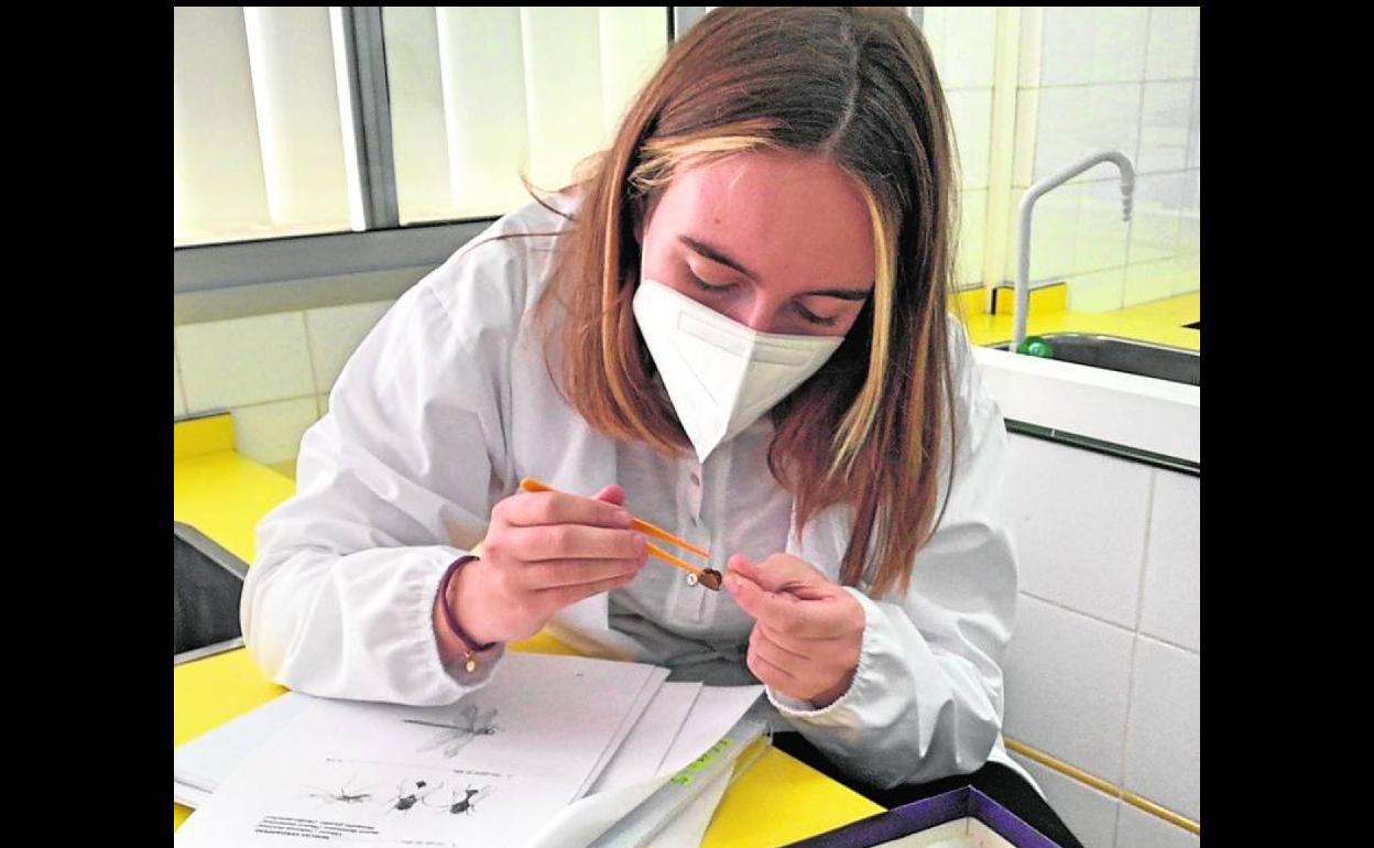 Imagen de una alumna en el LFIGC