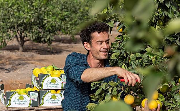 SPAR Gran Canaria es la única cadena local que eleva su compromiso con el sector primario mediante la firma de convenios, como el de la naranja de Telde.