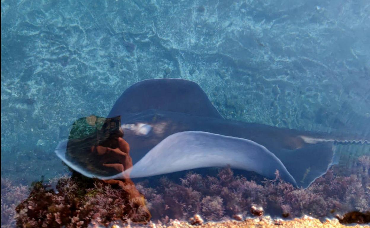 Imagen de la Policía Local. 