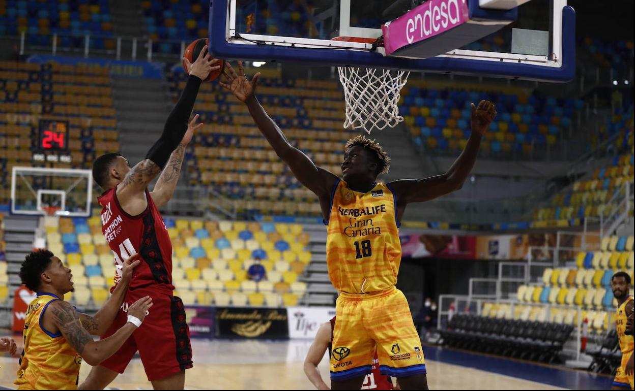 Nuevo triunfo de los amarillos. 