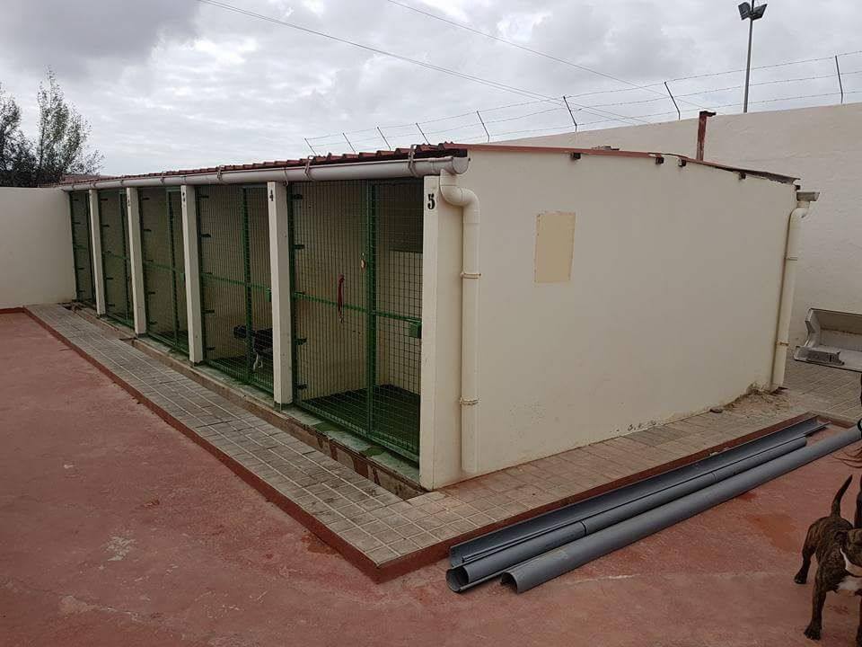 Imagen de las instalaciones del CETA de Ingenio. 