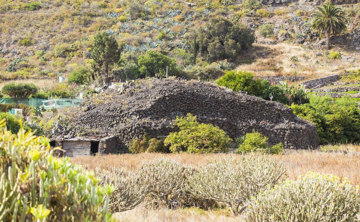 Majano de considerables dimensiones en Valle de los Nueve, en Telde.