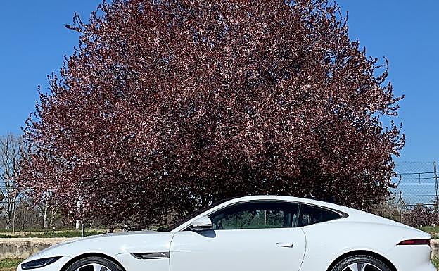Probamos el nuevo Jaguar F-Type Coupé: atléticas prestaciones y detalles 'Limited Edition'