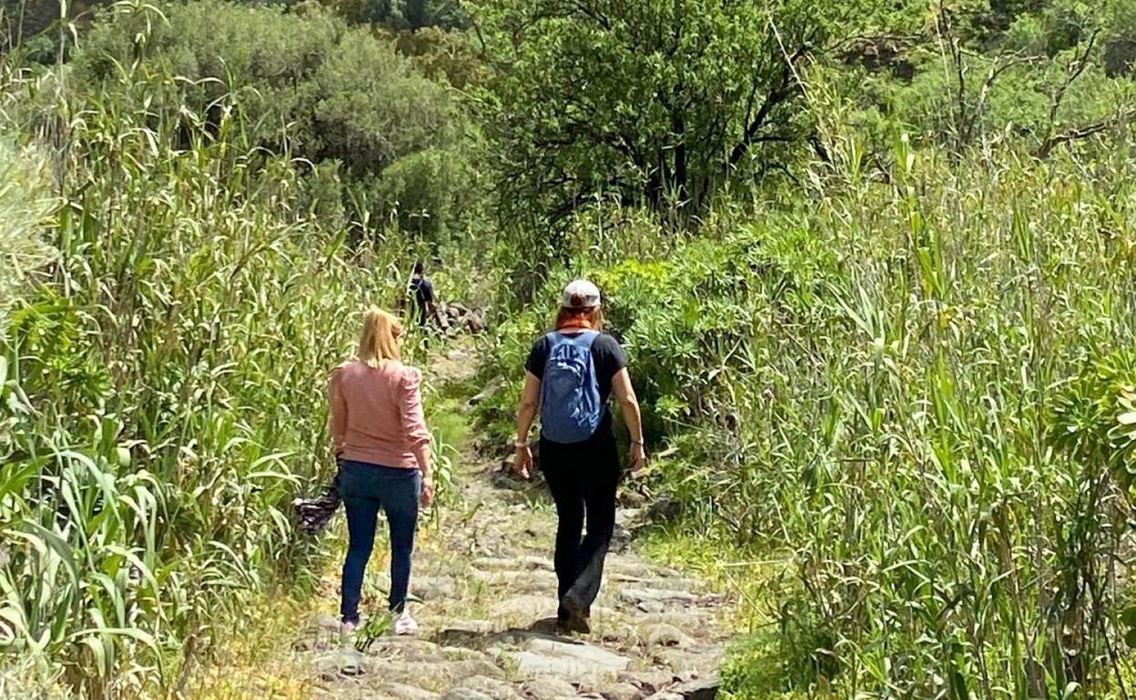 Dos senderistas caminan por el tramo empedrado del camino de Las Bestias que se ha mejorado en Guayadeque. 